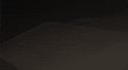Happy Cats GIF by Kitty Is Not A Cat