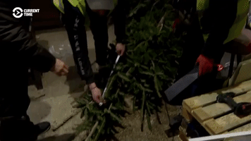 Civilians Erect Holiday Tree in Bakhmut Despite Intense Fighting