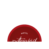 Hotelsteinrosl fun amazing action relax Sticker