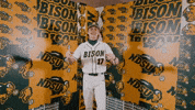 Baseball Bison GIF by NDSU Athletics