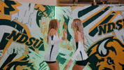 Volleyball Bison GIF by NDSU Athletics