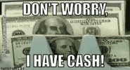 lieblingsbankmemes money cash dollar geld GIF