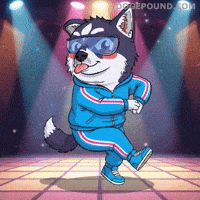 Happy Dance Floor GIF by Doge Pound