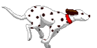 w STICKER