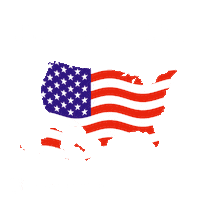 Happy Independence Day Sticker by Summit Marketing