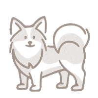 Dog Food Sticker by Ollie Pets