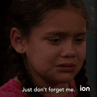 Law And Order Svu GIF by ION