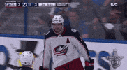 happy ice hockey GIF by NHL