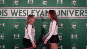 Iwuwvb24 GIF by iwusports