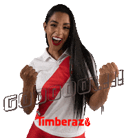 Sport Soccer Sticker by Timberazo