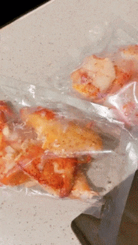 zairyo zairyosg GIF
