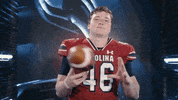 College Football GIF by gamecocksonline