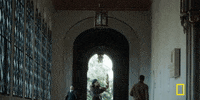 nat geo genius GIF by National Geographic Channel