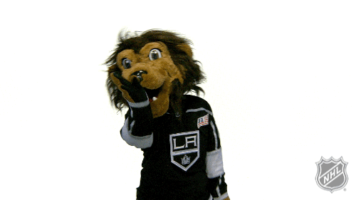 Ice Hockey No GIF by NHL