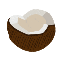 Coco Coconut Sticker by leoburnettparis