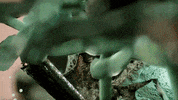 Flying Matthew Dear GIF by rolfes