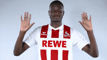 fckoeln football soccer bundesliga thank you GIF