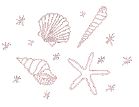 Beach Stars Sticker