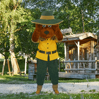 Sneaking Around Hide And Seek GIF by Landal GreenParks