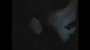 Lambo GIF by R3 Da Chilliman