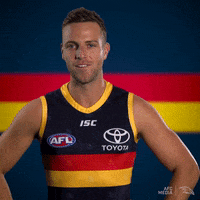 adelaidecrows 2019 afl adelaide crows afc media GIF