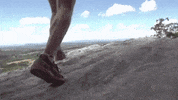 virginia GIF