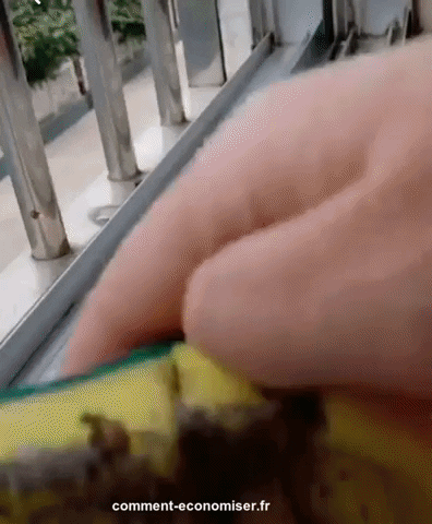 comment-economiser giphyupload GIF