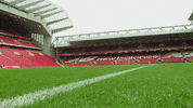 premier league lfc GIF by Liverpool FC