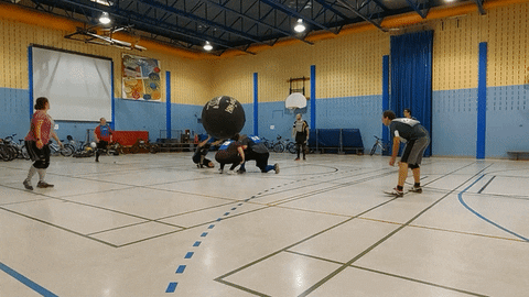 marc-edouardlarose giphyupload sport kin-ball kinball GIF