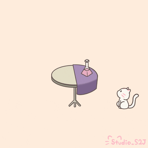 Kitchi cat jump table not listening GIF
