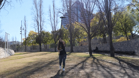 silviaillescas giphygifmaker dzoom gimbals GIF