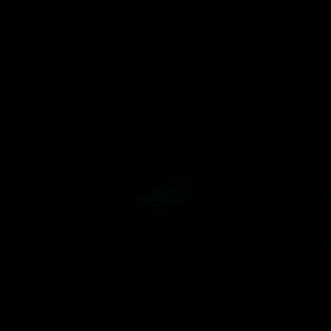 awesome design GIF by SamuelC