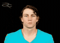 Miami Dolphins GIF by Respective