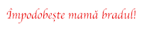 Craciun Sticker