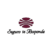 Panama Insurance Sticker by Aseguradora Ancón