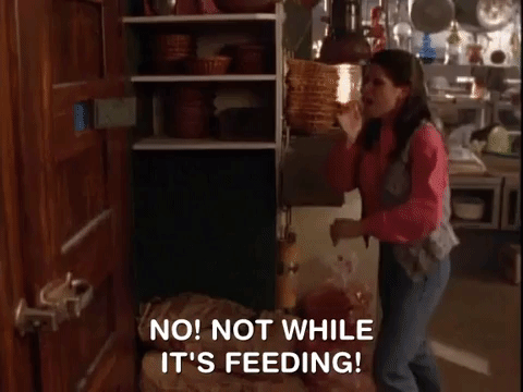 nickrewind giphydvr nicksplat are you afraid of the dark the tale of the dangerous soup GIF