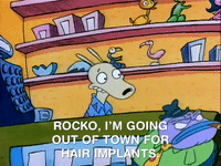 rockos modern life nicksplat GIF
