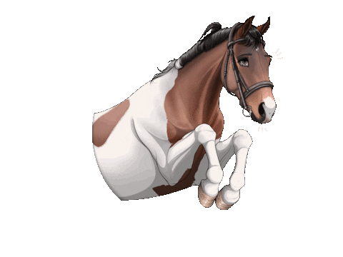 Horse Cheval Sticker