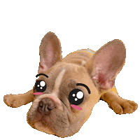 French Bulldog Dog Sticker by SOY FANIMAL