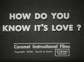 scottok educational film how do you know its love GIF