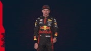 Ver Red Bull GIF by Red Bull Racing