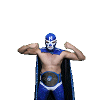 maskadorestacoshopaz wrestling wrestler lucha lucha libre Sticker