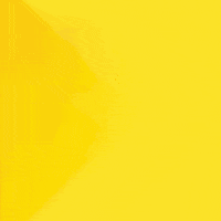 Construtoracanopus GIF by Canopus