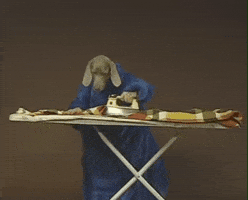 William Wegman Chores GIF by Jason Clarke
