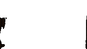 Loop Inspect Sticker