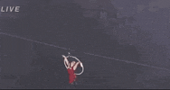 Nik Wallenda Highwire GIF by Volcano Live! with Nik Wallenda