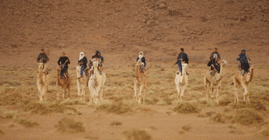 djsnake happy party dancing celebration GIF