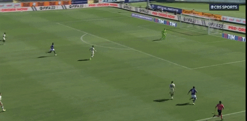 ArchiteuthisDux giphygifmaker serie a fiorentina hellas verona GIF