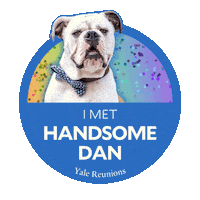 Yale University Dog Sticker by YaleAlumni