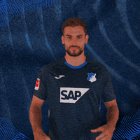Sport Bundesliga GIF by TSG Hoffenheim